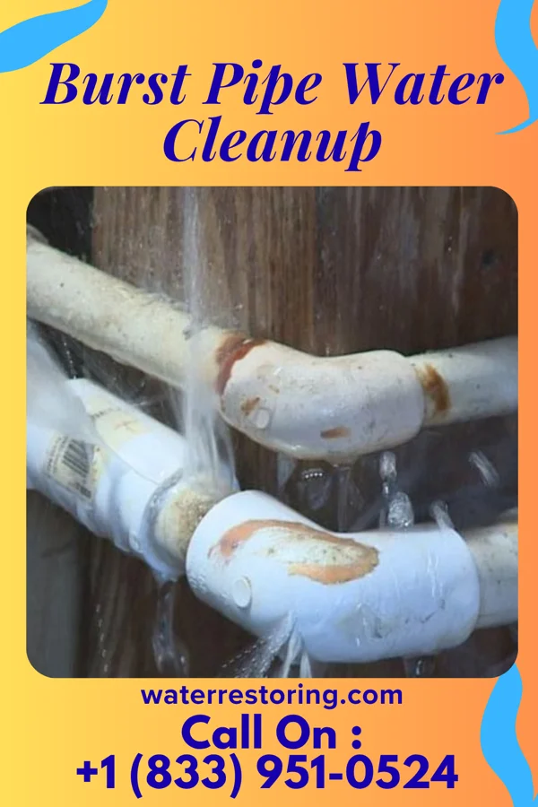 Burst Pipe Water Cleanup in Woodlake, VA