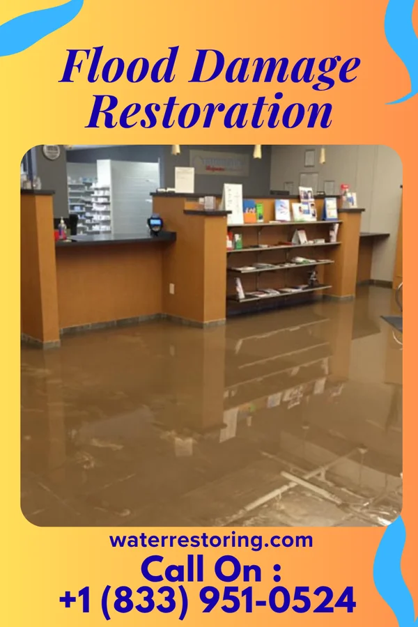 Flood Damage Restoration in Woodlake, VA