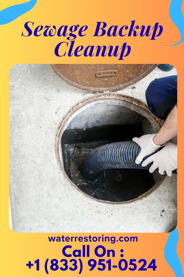 Sewage Backup Cleanup in Woodlake, VA