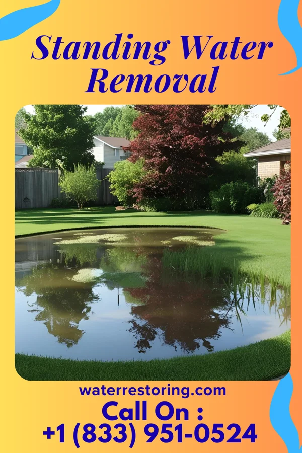 Standing Water Removal in Woodlake, VA